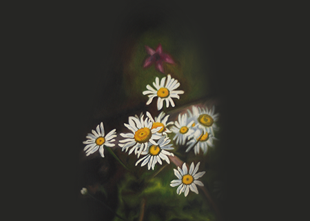 Portfolio 1