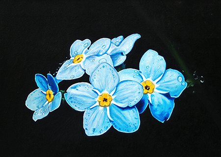 Portfolio 1
