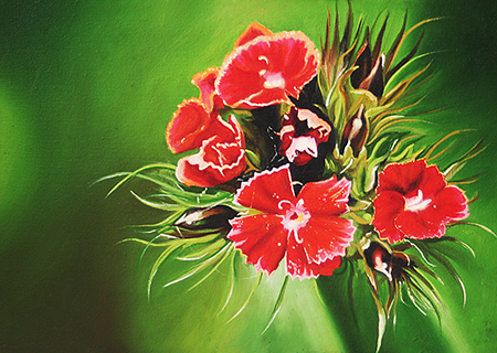 Portfolio 1